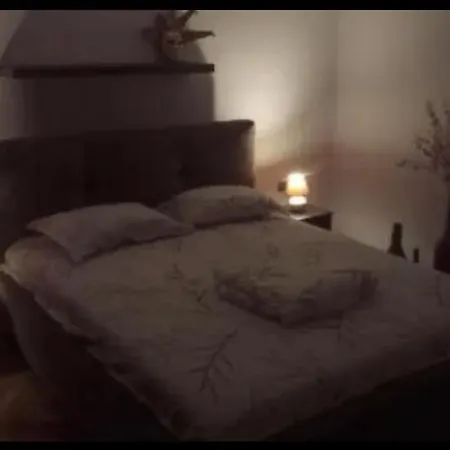 Garden Street Apartment